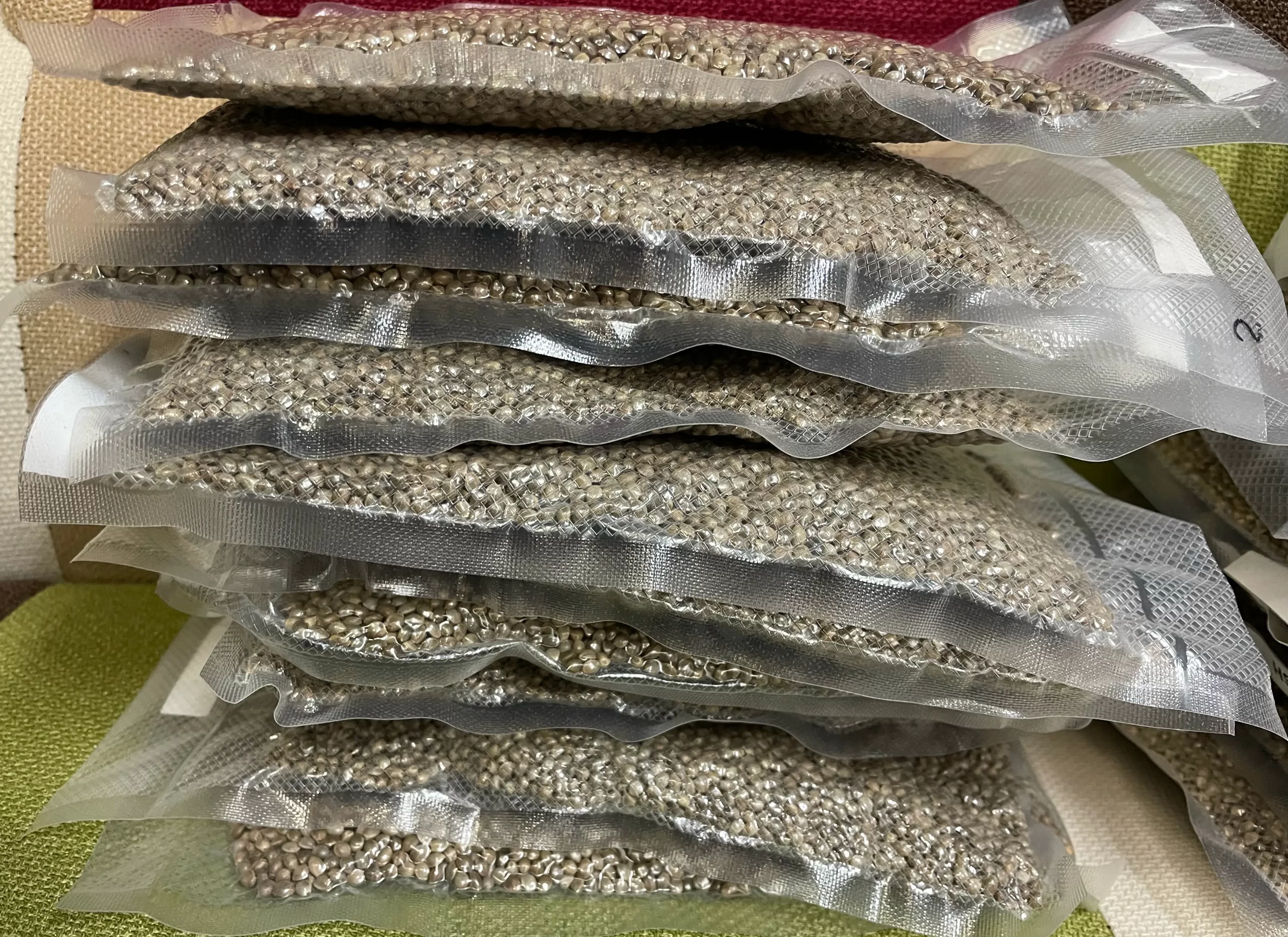 Bulk Cannabis Seeds Wholesale Marijuana Seeds